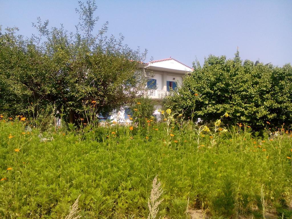 Guesthouse Karidia Skála Eresoú Exteriör bild