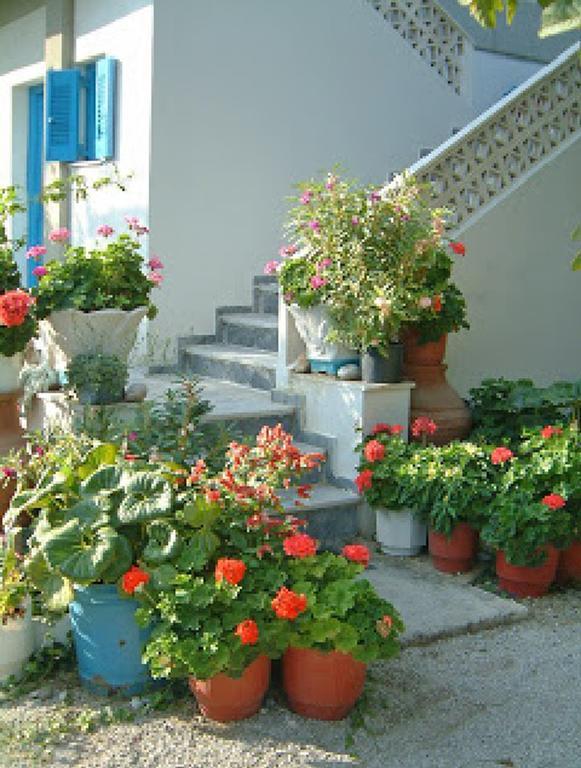 Guesthouse Karidia Skála Eresoú Exteriör bild